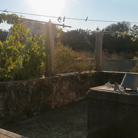 Charming 1 Bedroom House On Island Sestrunj Задар